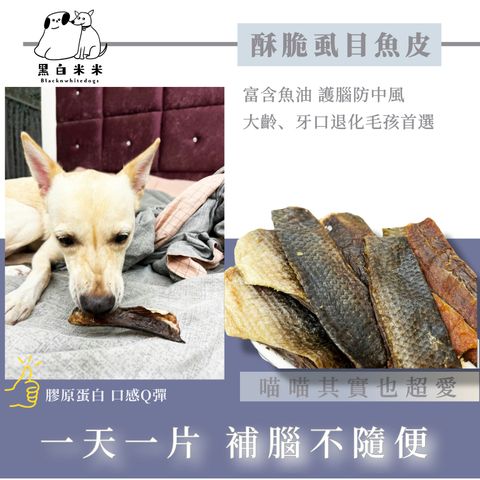 默认标题__2024-09-01+10_49_50
