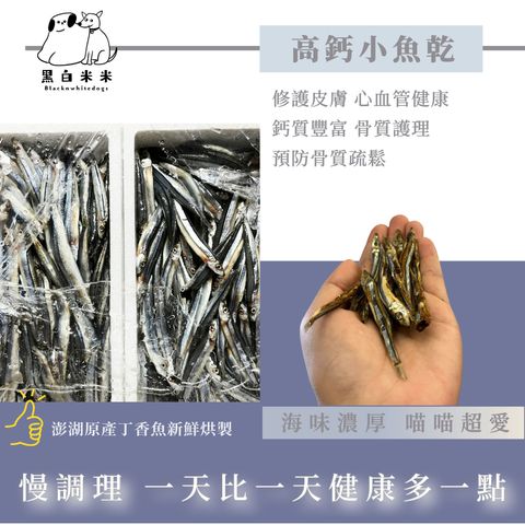 默认标题__2024-09-19+10_26_21