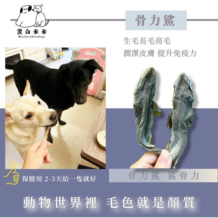 默认标题__2024-10-11+11_21_22