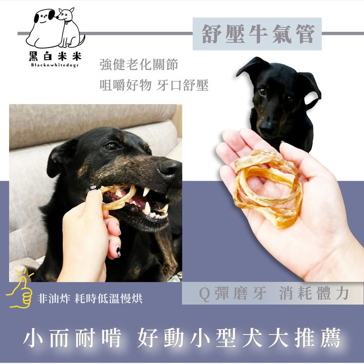 默认标题__2024-11-23+10_44_27