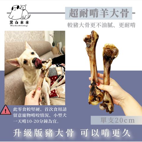 默认标题__2025-02-02+11_23_48