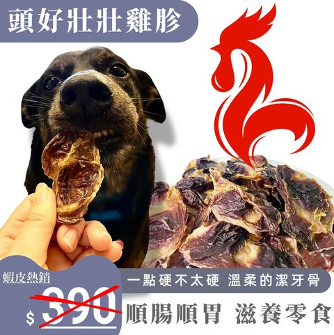 雞胗1