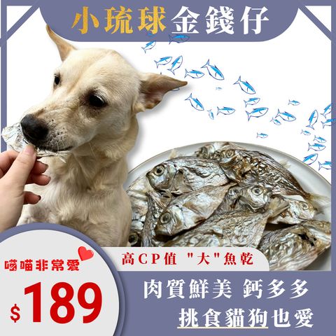 金錢仔1