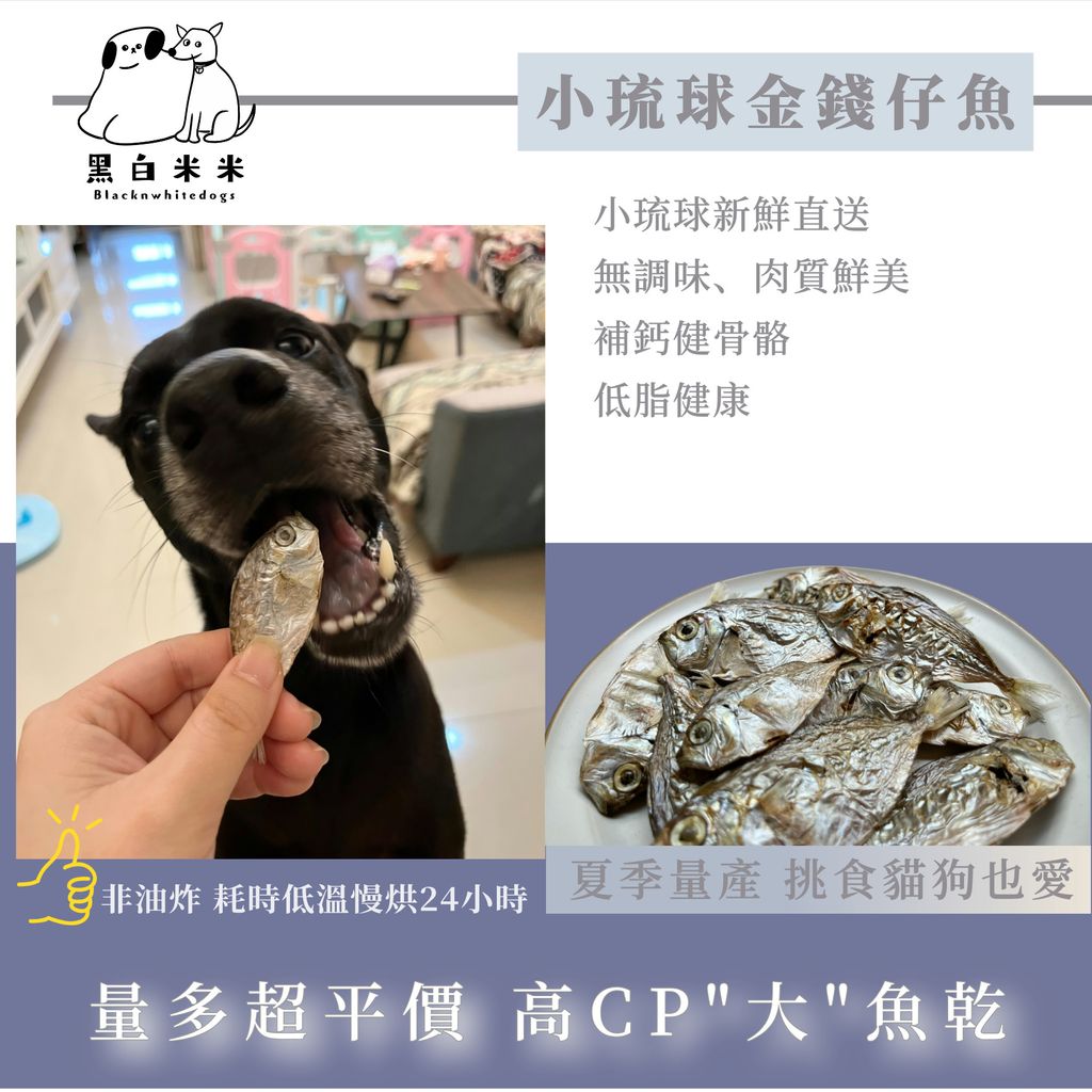 金錢仔2