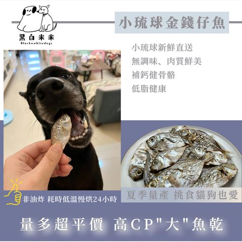 金錢仔2