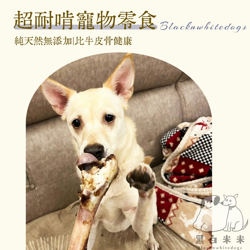 2版圖文1