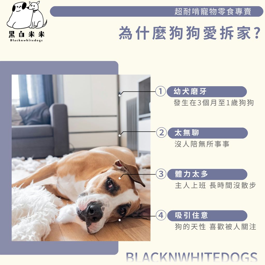 2版圖文3