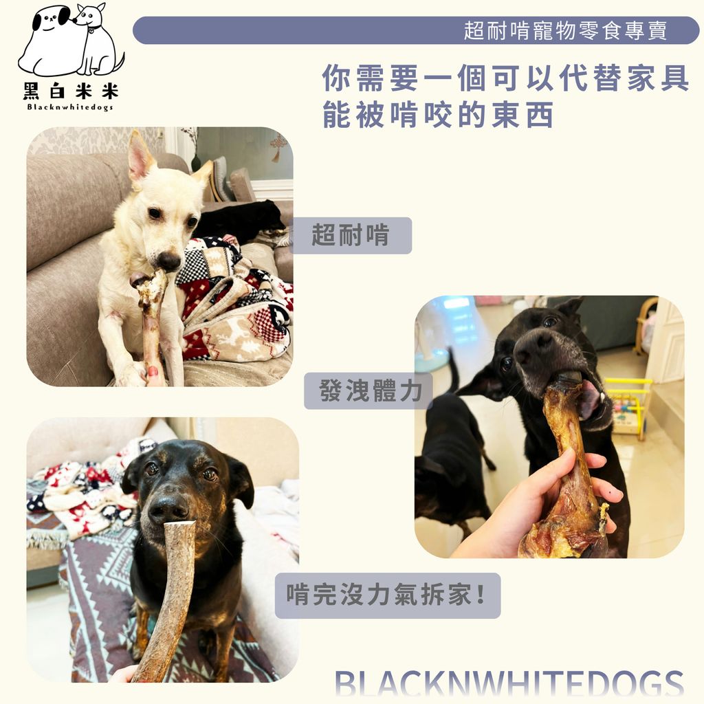 2版圖文4