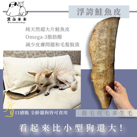 鮭魚皮2