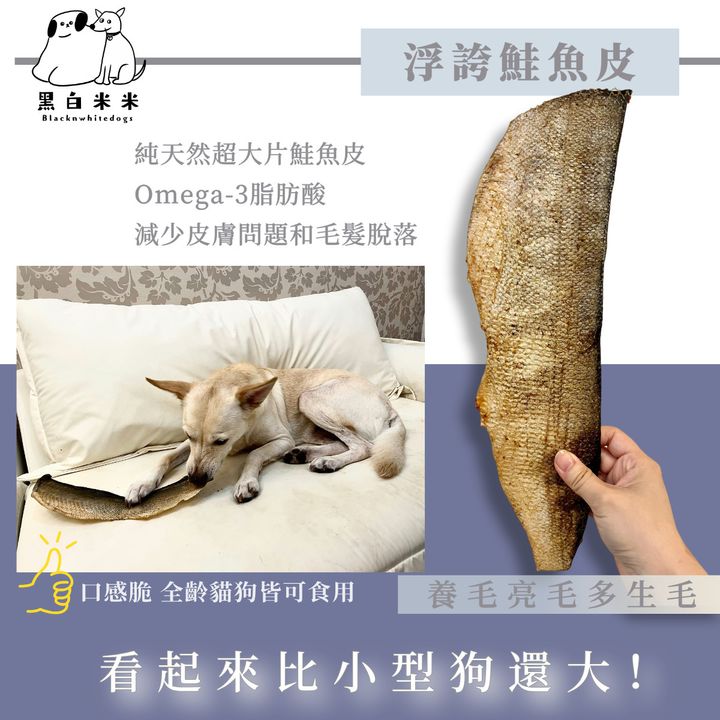 鮭魚皮2