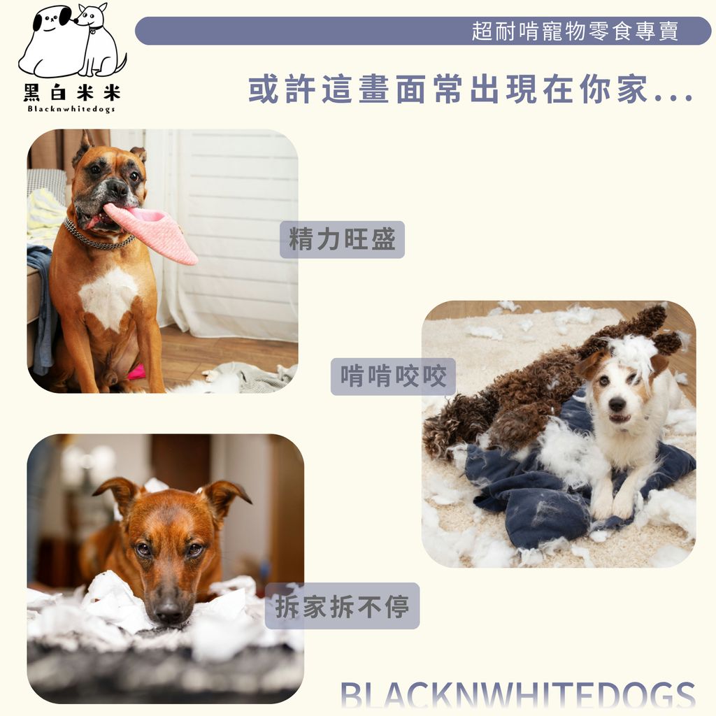 2版圖文2