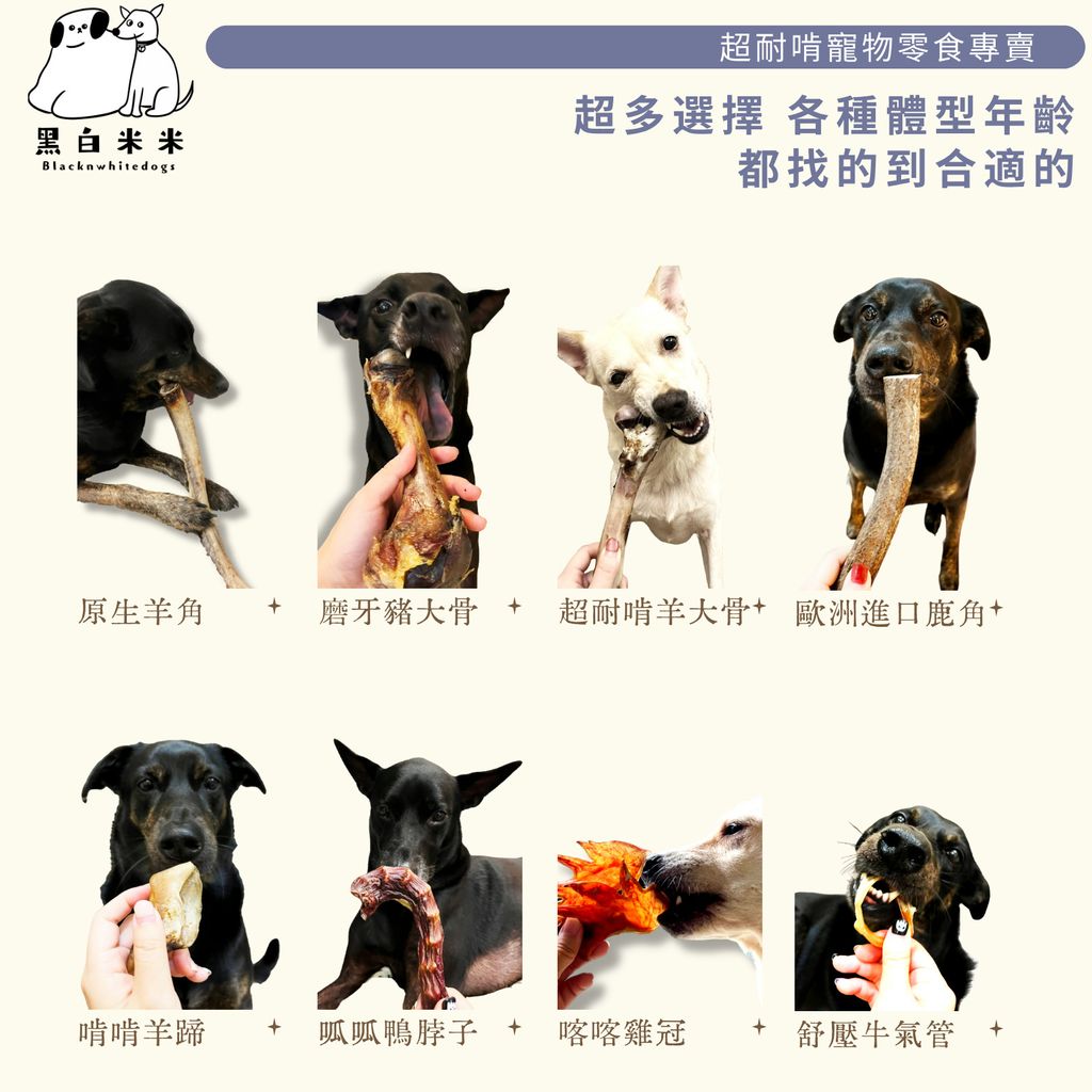2版圖文6