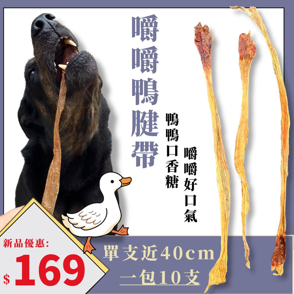 默认标题__2025-06-24+09_30_21