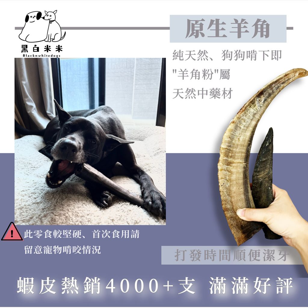 默认标题__2025-10-25+11_25_34