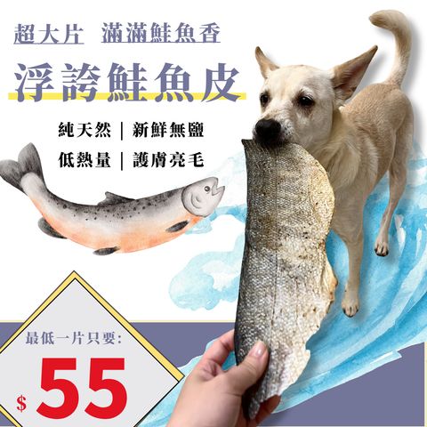 默认标题__2025-12-27+10_10_57