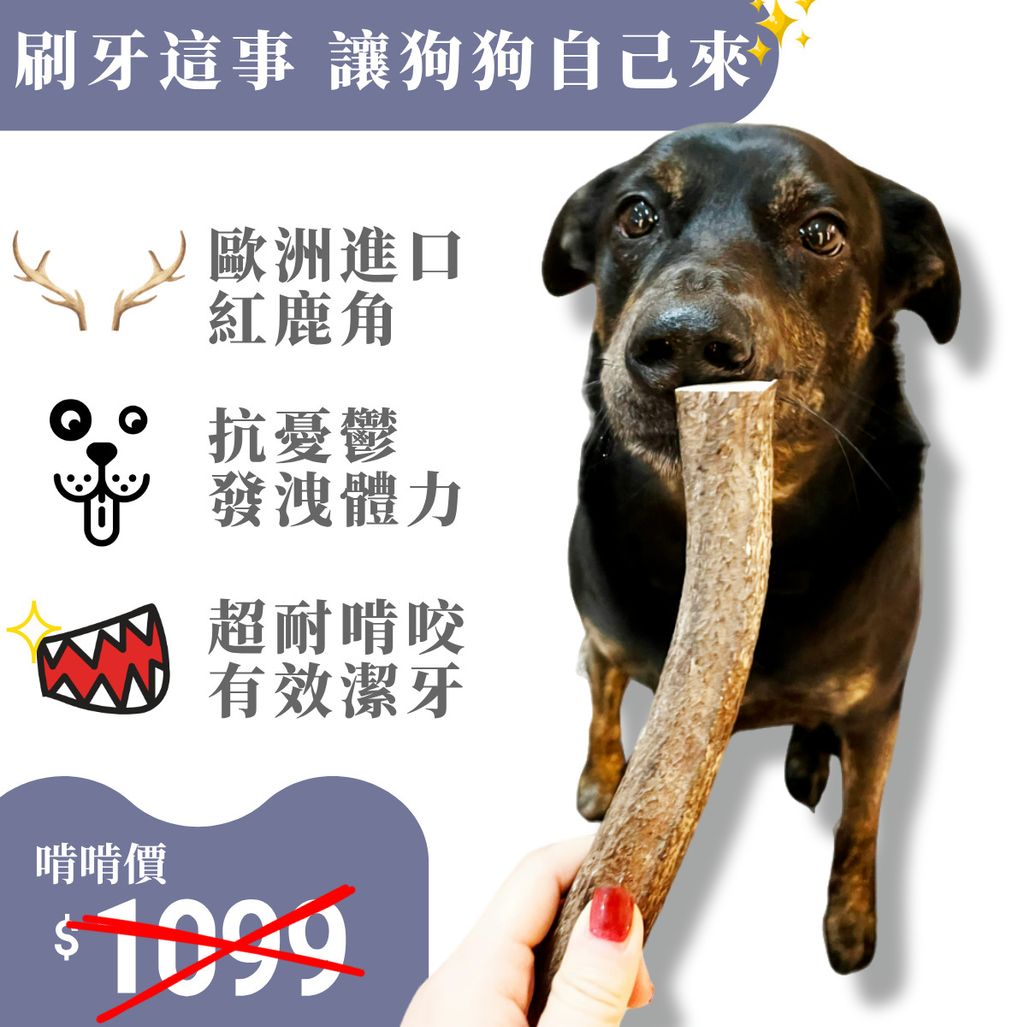 618年中打折大促销主图__2025-02-05+17_29_00