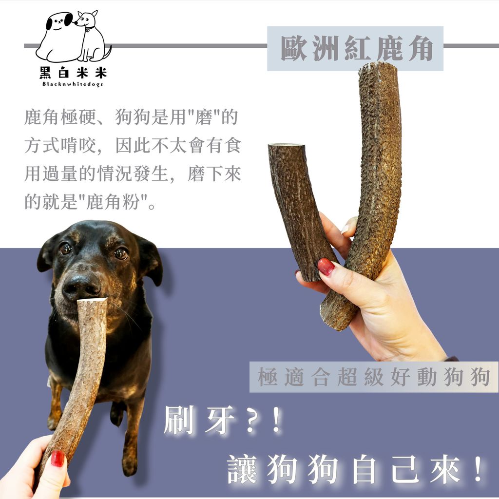 默认标题__2025-01-27+09_52_23