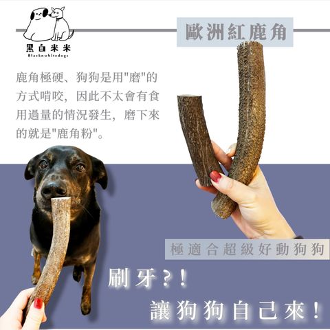 默认标题__2025-01-27+09_52_23