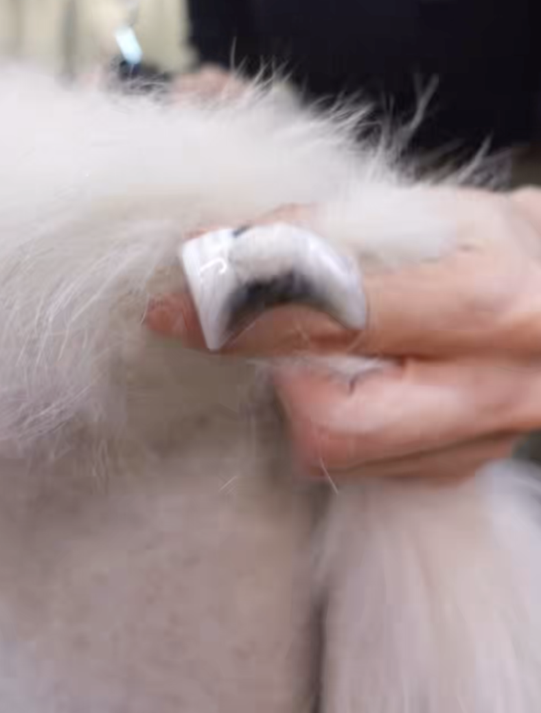 截圖 2025-10-21 晚上11.07.42