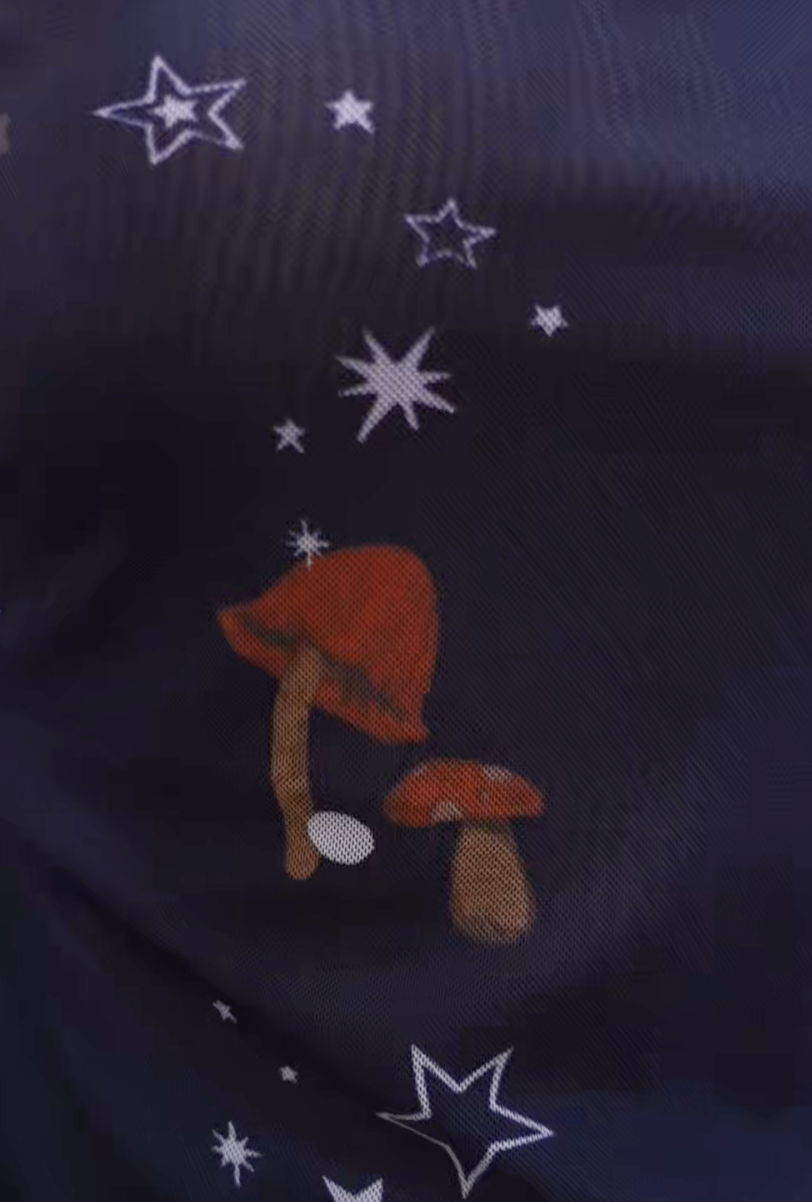 截圖 2025-10-28 凌晨3.12.03