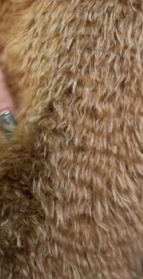 截圖 2025-11-18 凌晨1.57.51