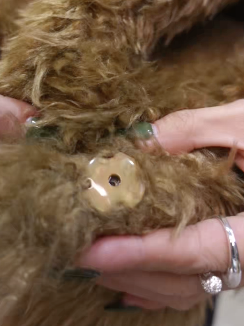 截圖 2025-11-18 凌晨1.24.39