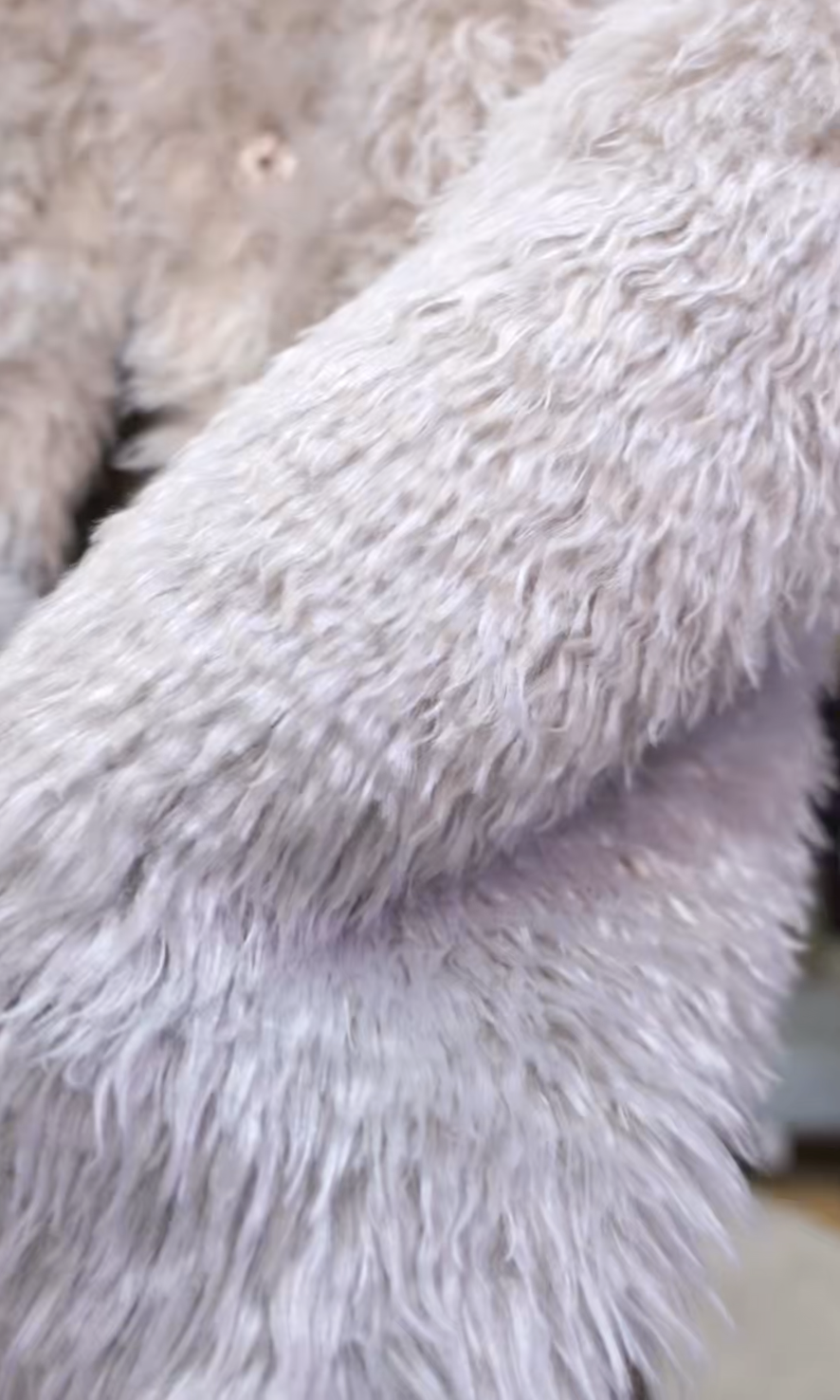 截圖 2025-11-18 凌晨2.07.51