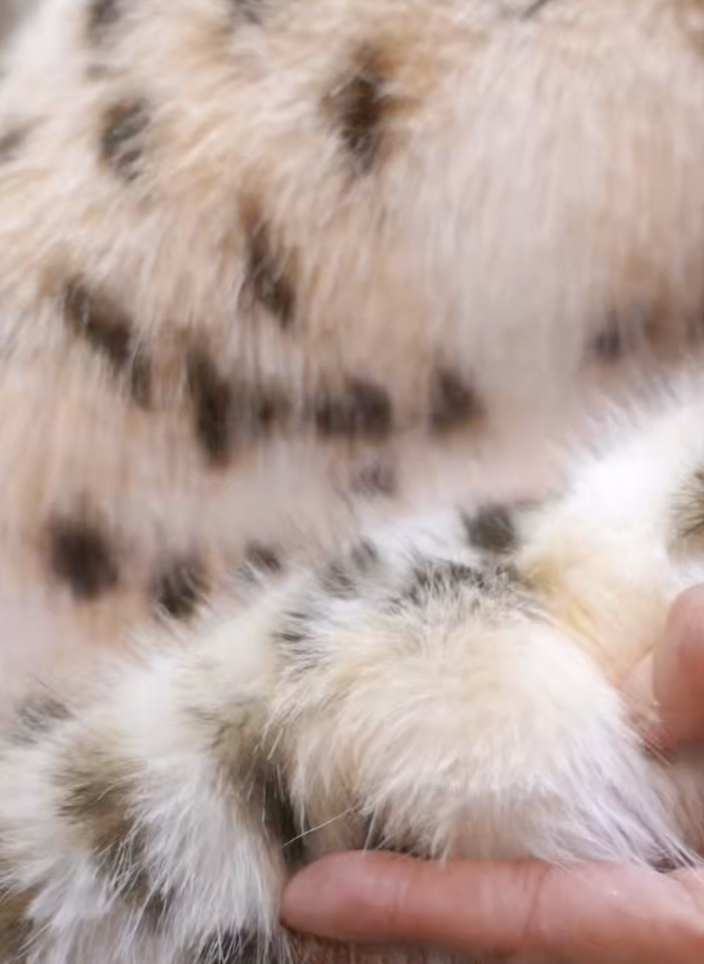 截圖 2025-11-26 凌晨1.04.10