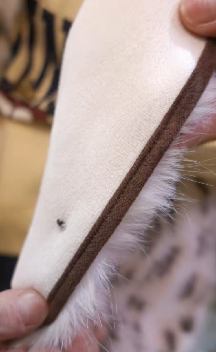 截圖 2025-11-26 凌晨12.50.29