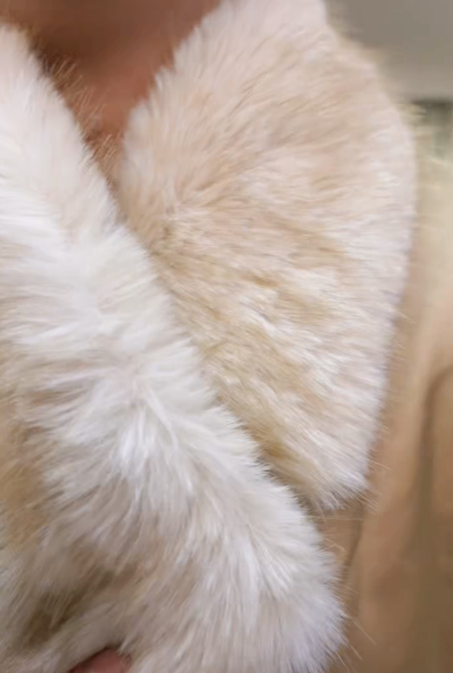 截圖 2025-11-25 凌晨2.13.59