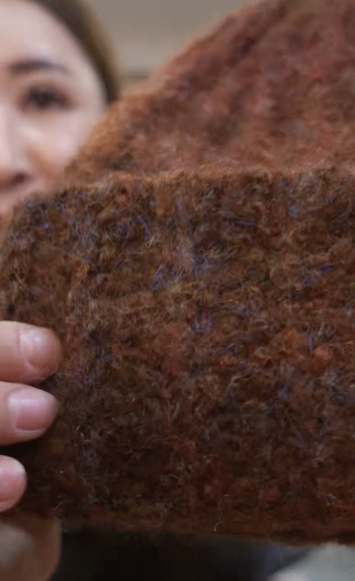 截圖 2025-11-25 凌晨12.49.31