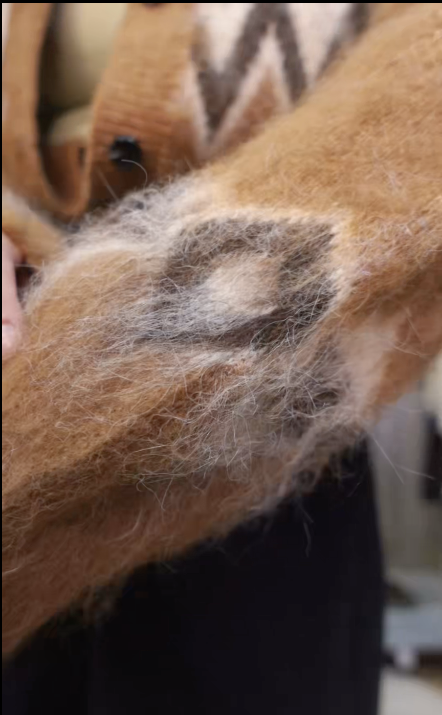 截圖 2025-12-02 凌晨1.16.17