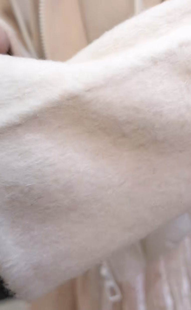 截圖 2025-12-09 晚上8.13.03