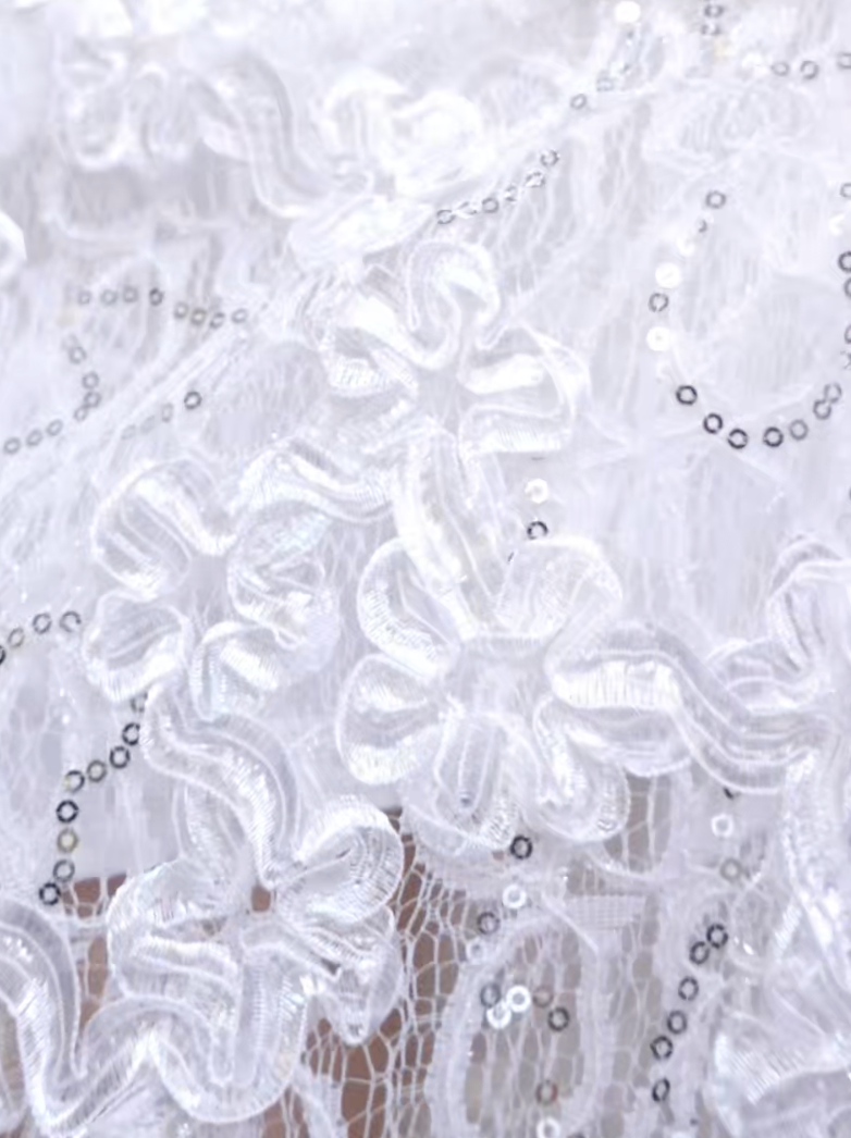 截圖 2026-01-26 晚上8.39.42