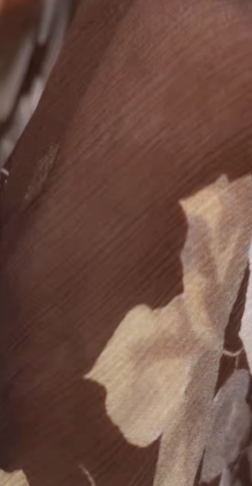 截圖 2026-02-03 下午6.53.04