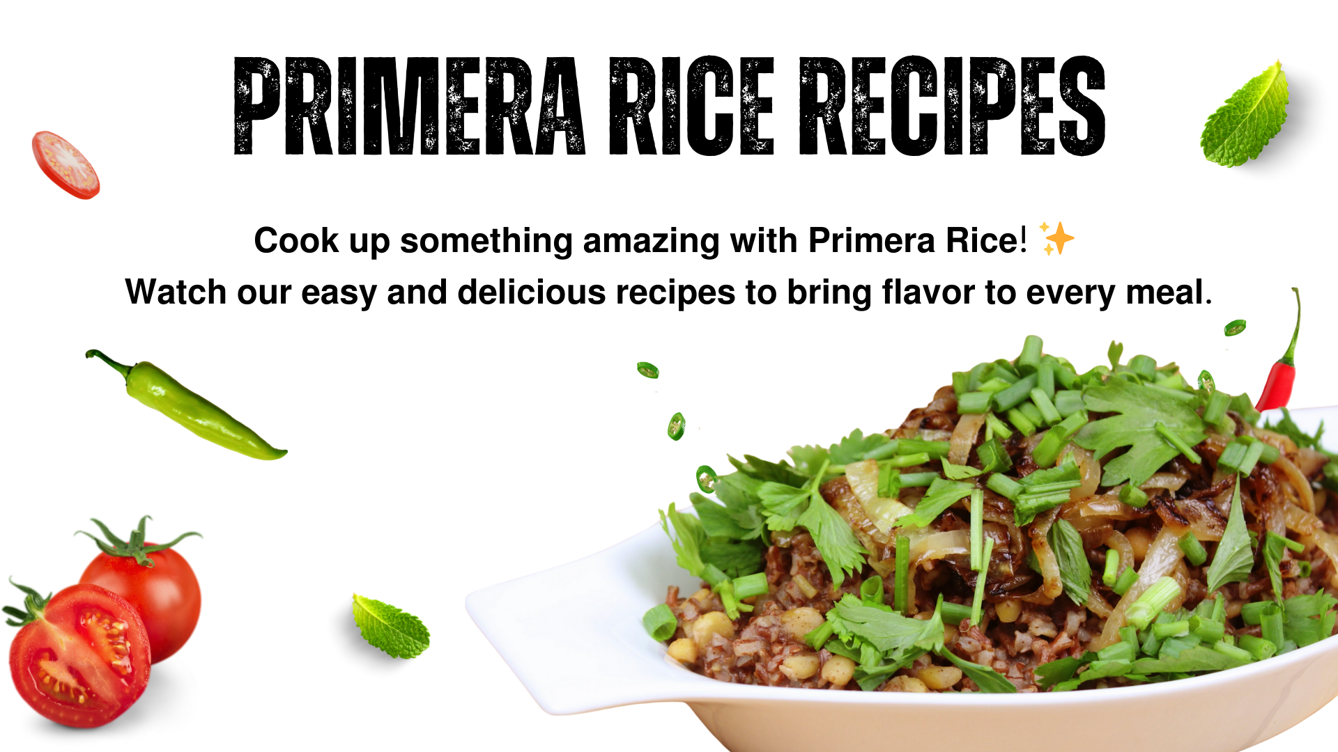 Primera rice recipes