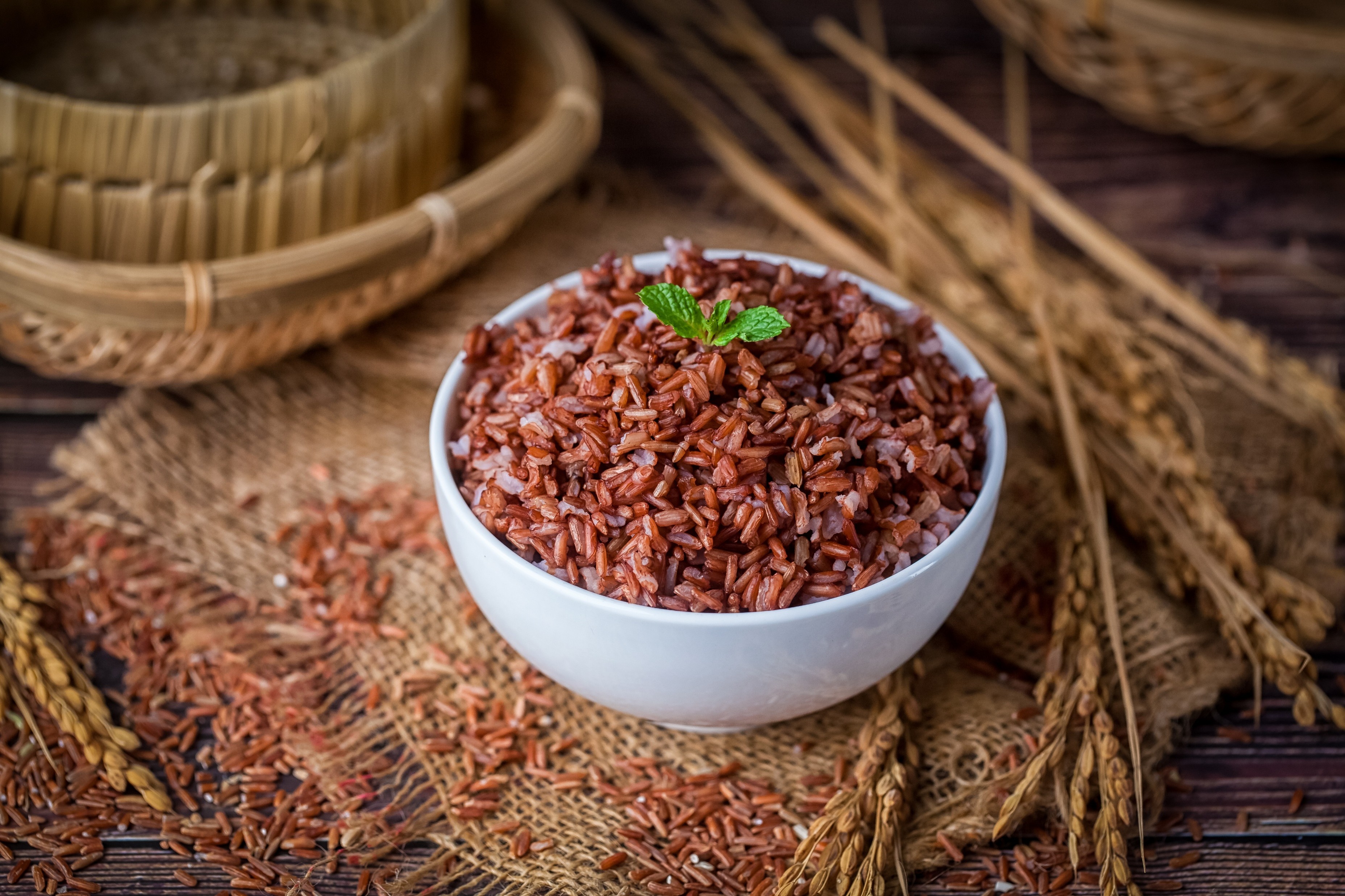 Primera Rice