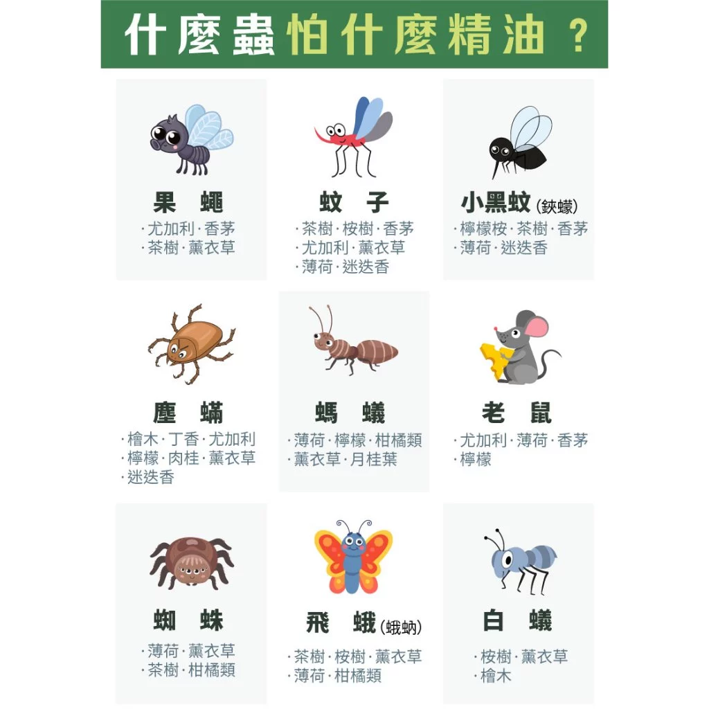 【古寶】蟲新導航 防蟲精油噴霧 300ml 7