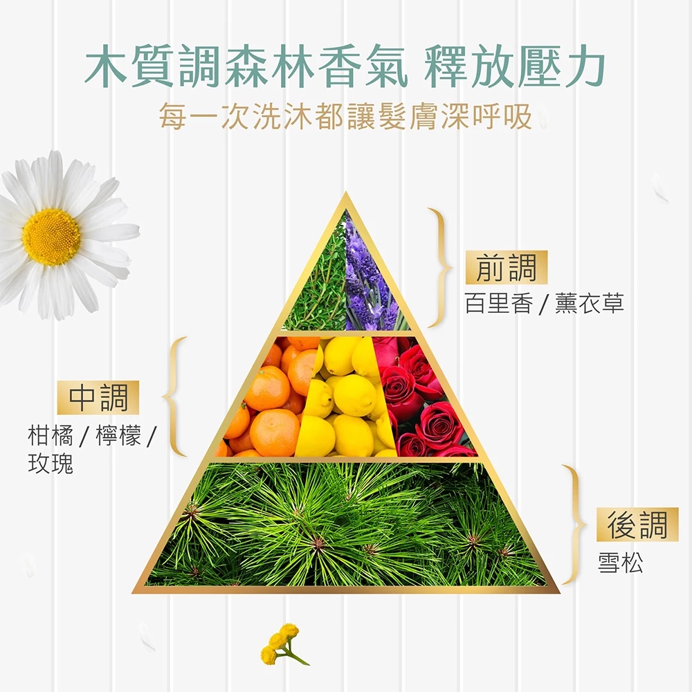 【SAHOLEA森歐黎漾】淨平衡洋甘菊控油洗髮精1000ml 6