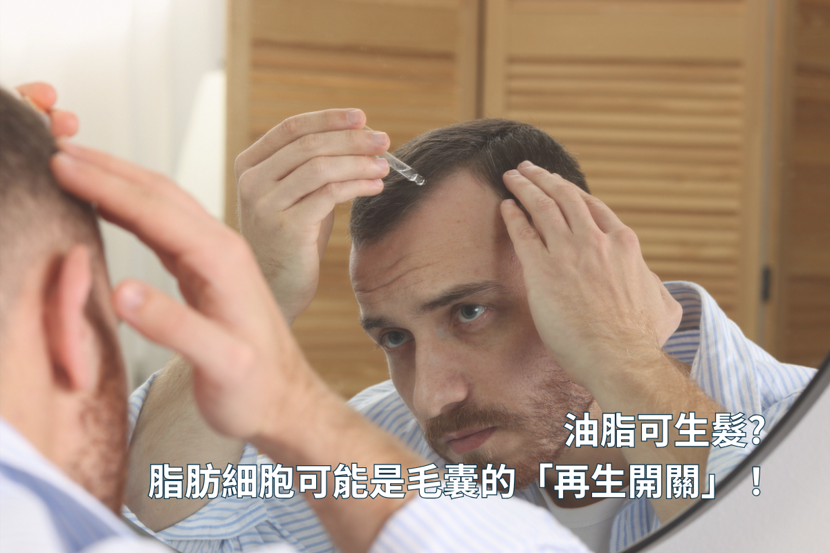油脂可生髮 脂肪細胞可能是毛囊的「再生開關」