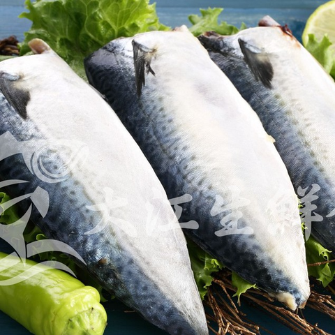 大江生鮮|宜蘭薄鹽鯖魚150g 1