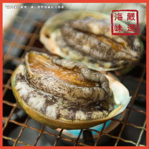 【海味嚴選】活凍鮑魚 1