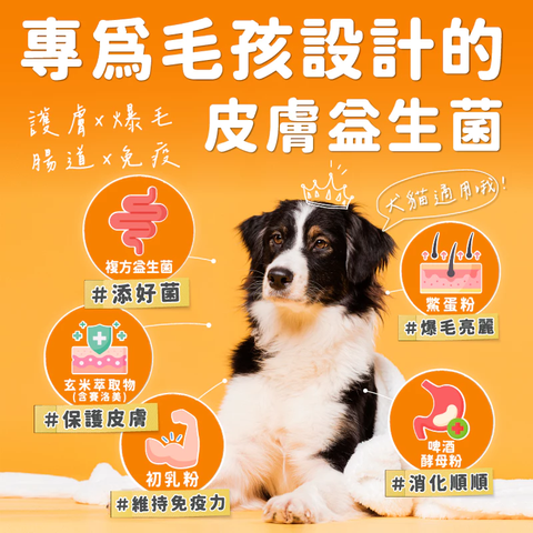 【Aether依鈦】依鈦寵物益生菌-護膚爆毛 2