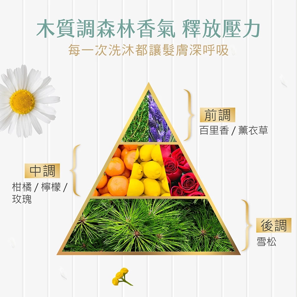 【SAHOLEA森歐黎漾】淨平衡洋甘菊控油洗髮精1000ml 6