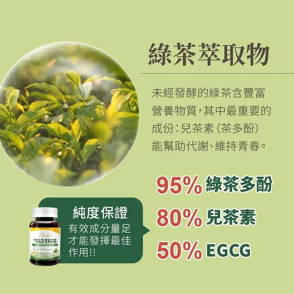 【LOVITA愛維他】 綠茶EGCG兒茶素複方素食膠囊(60顆)2
