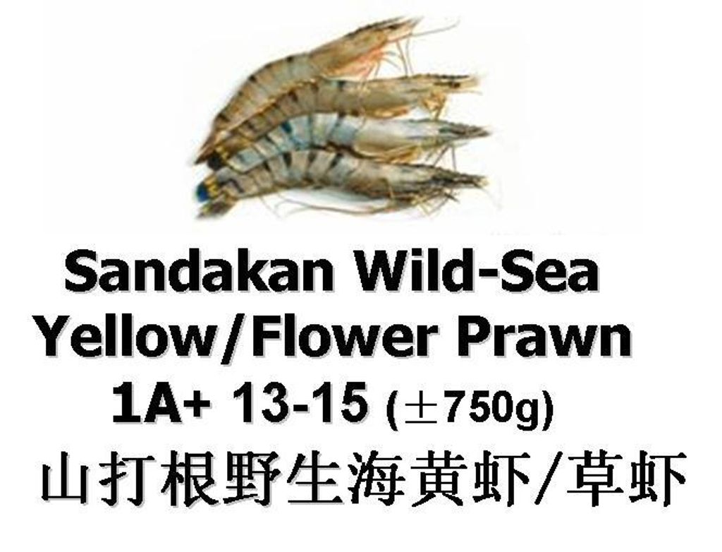 Flower Prawn 1A+