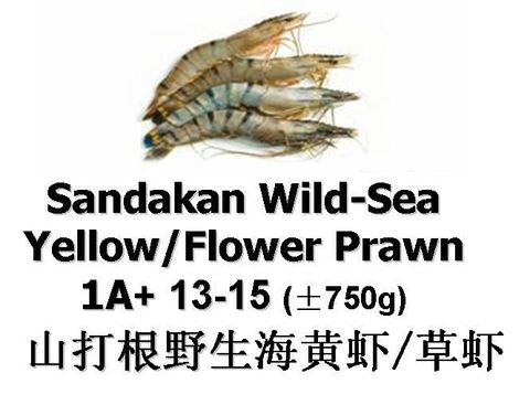 Flower Prawn 1A+