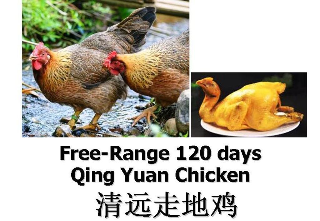 Free Range Qing Yuan