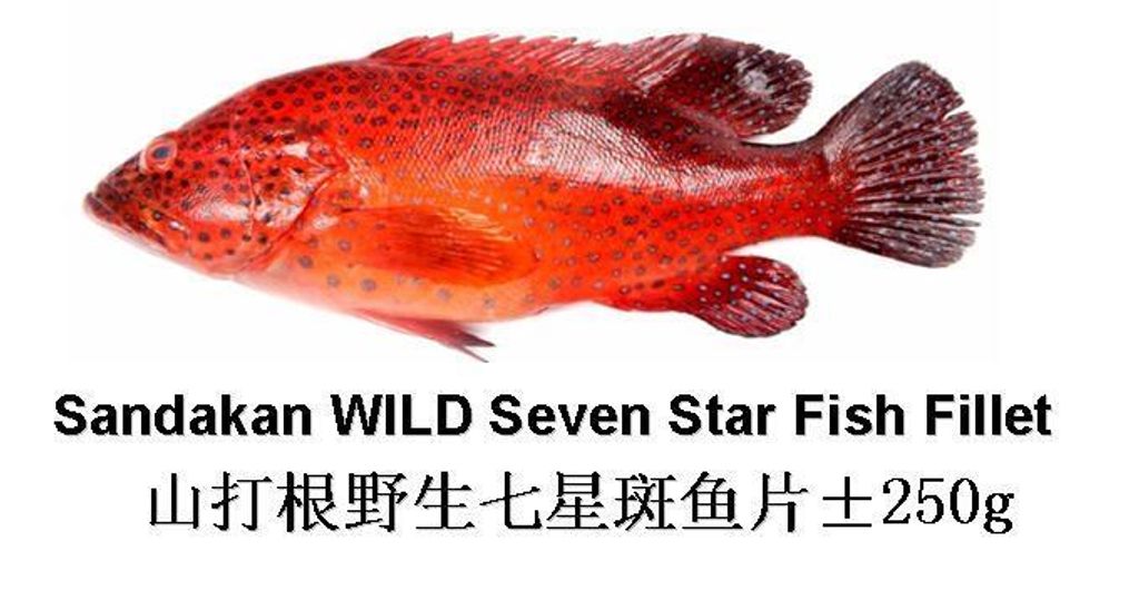 Seven Star Fish Fillet 250g