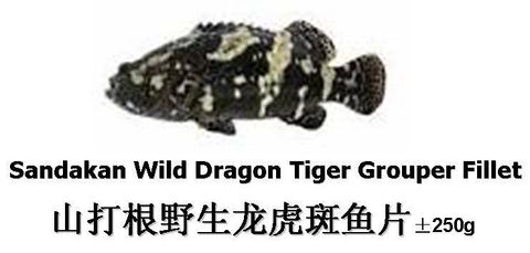 Dragon Tiger Grouper Fillet